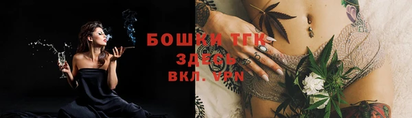 тгк Армянск